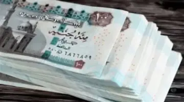 رئيس هيئة التأمينات يوضح لمجلس النواب تفاصيل التحول الرقمي الشامل وموعد انتهاء أزمات الربط الإلكتروني